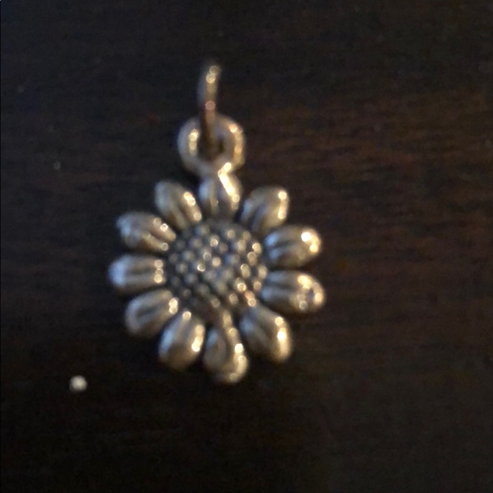 Stirling silver charm